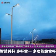  Multi pole integrated lighting project, intelligent street lamp pole, multi-functional composite pole