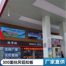 ʯվS 300峧